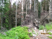 IMG_1897.jpg, 32kB